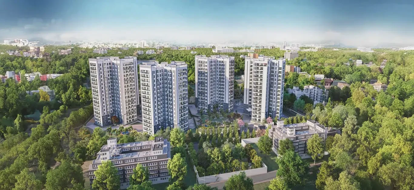 Prestige Pine Forest